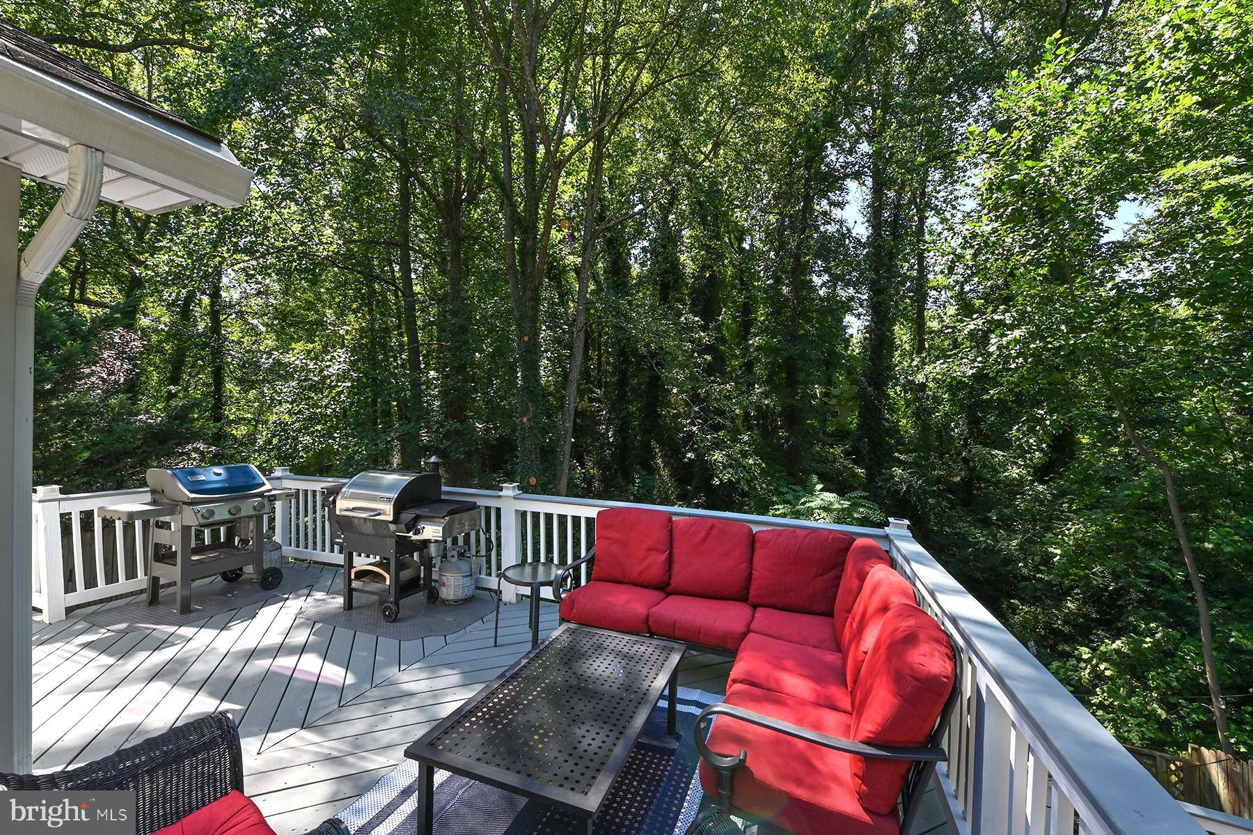 359 Hall Road Crownsville, MD 21032 - Photo 15 of 33 There is so much privacy on the property