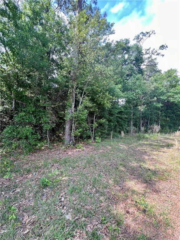824 Pine Ridge Road Bogalusa, LA 70427 - Photo 2 of 3 Gallery Image 2