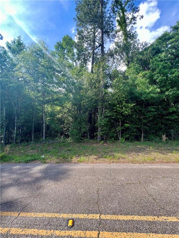 824 Pine Ridge Road Bogalusa, LA 70427 - Photo 3 of 3 Gallery Image 3