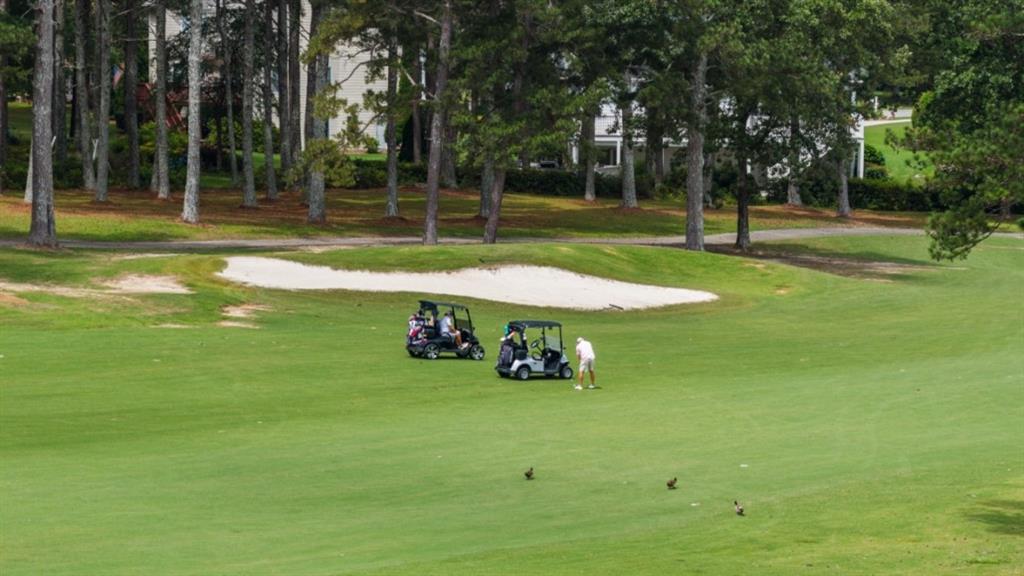 906 Sundown Point Villa Rica, GA 30180 - Photo 84 of 90