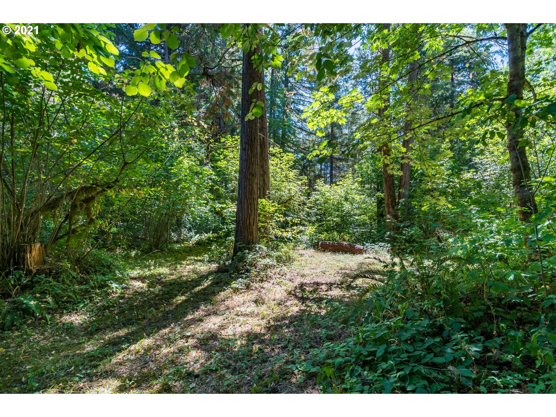 93989 Marcola Road Marcola, OR 97454 - Photo 29 of 32 Gallery Image 29