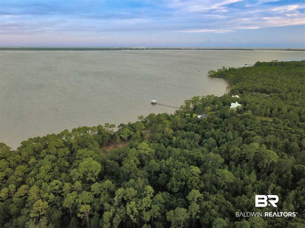10300 County Road 99 Lillian, AL 36549 - Photo 9 of 14