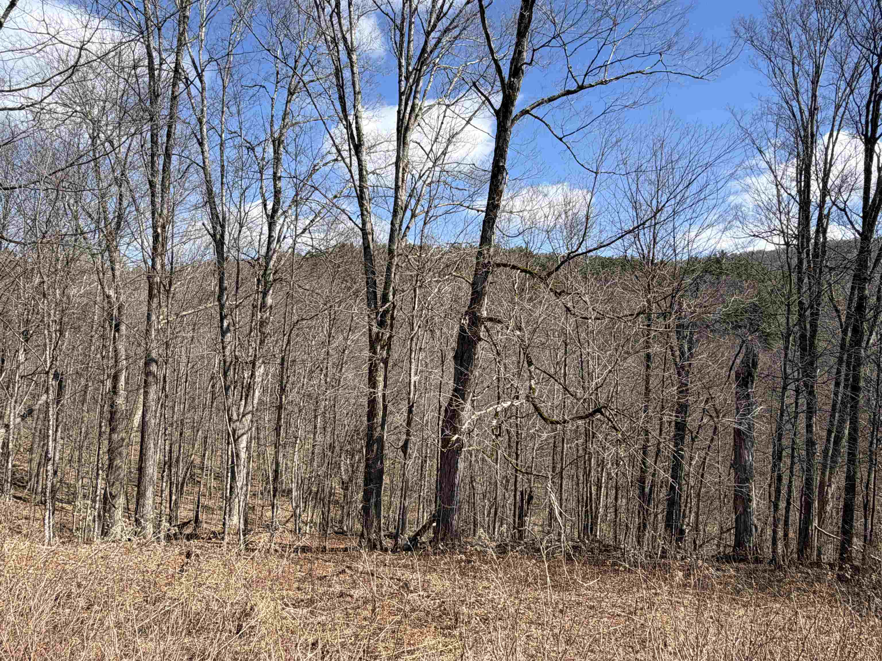 180 North Street Middletown Springs, VT 05757 - Photo 6 of 28