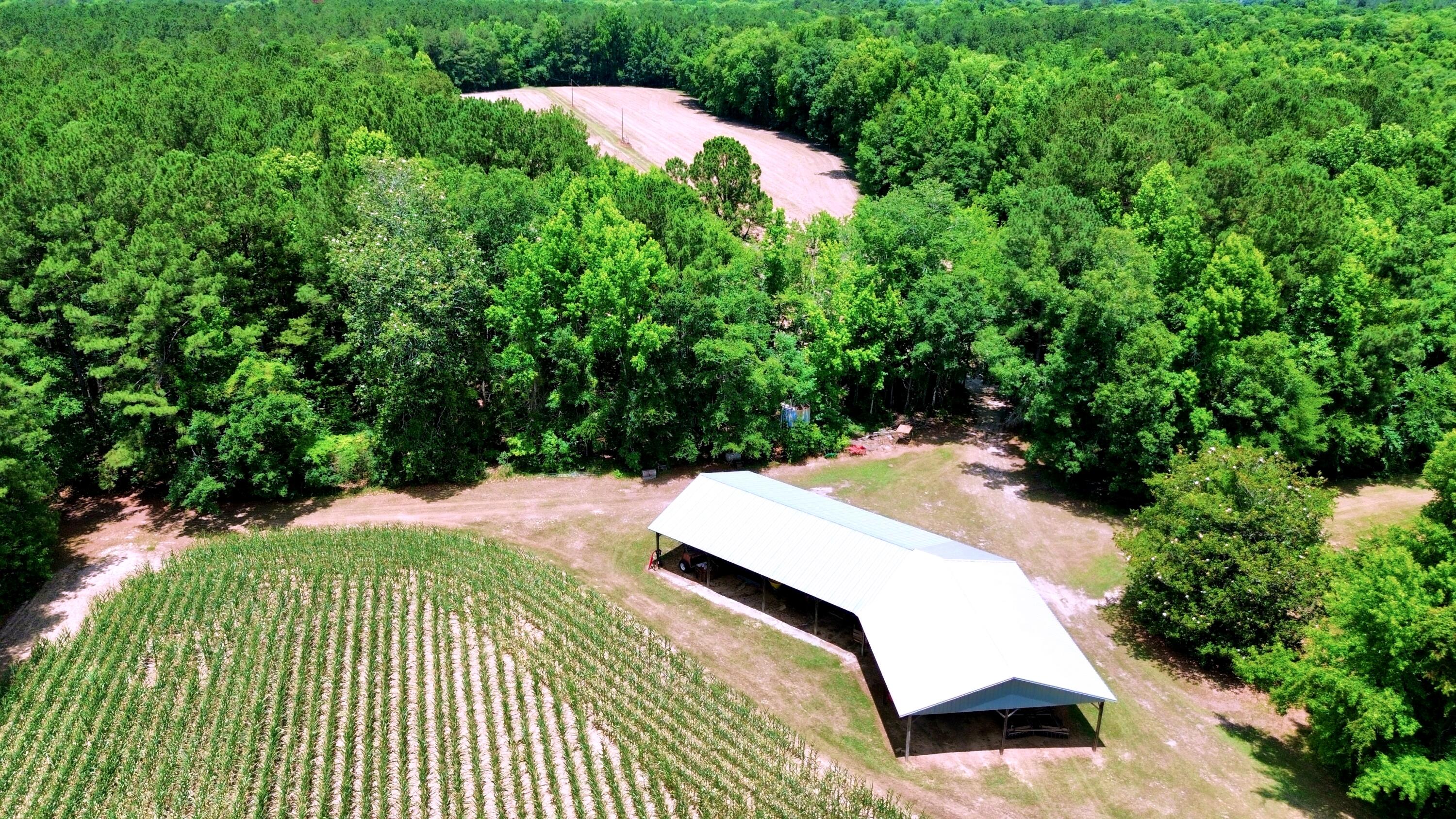 1970 Cross Swamp Road Islandton, SC 29929 - Photo 116 of 150