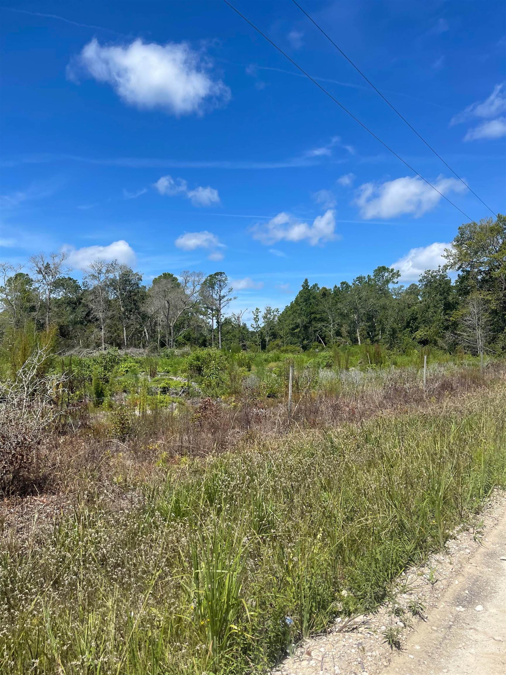 10755 Bill Howell Road Perry, FL 32348 - Photo 13 of 28 Gallery Image 13