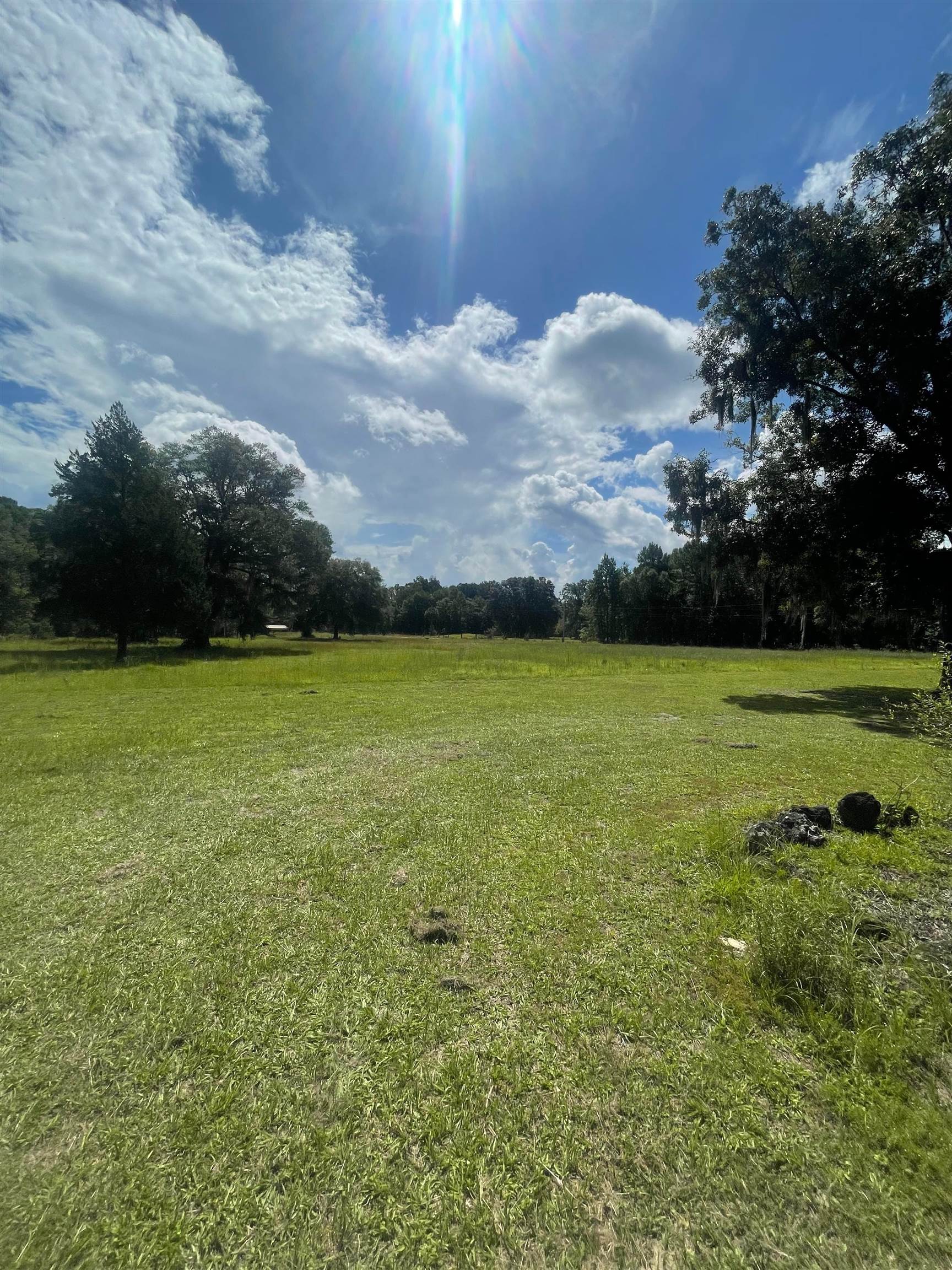 10755 Bill Howell Road Perry, FL 32348 - Photo 8 of 28 Gallery Image 8