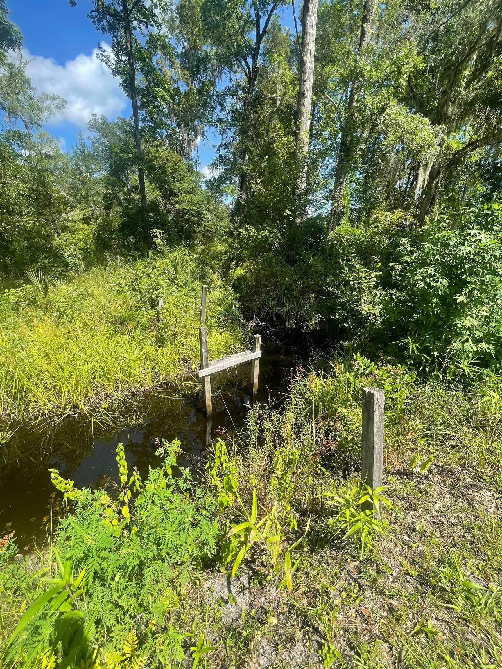 10755 Bill Howell Road Perry, FL 32348 - Photo 9 of 28 Gallery Image 9