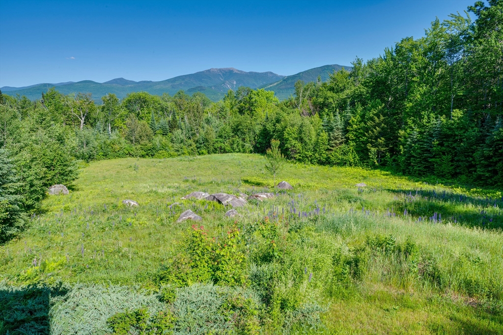 181 Toad Hill Road Franconia, NH 03580 - Photo 4 of 36 Gallery Image 4