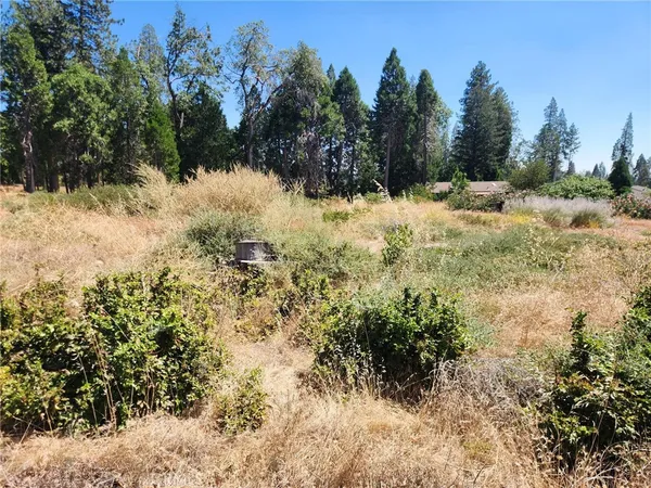 $16,500 | 13744 West Park Drive, Magalia, CA 95954
