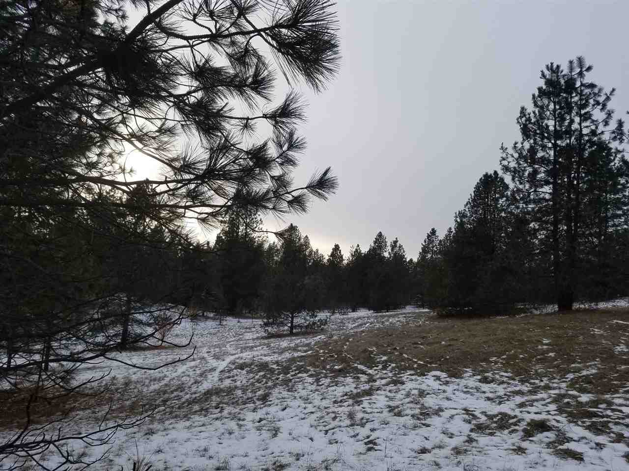 131-xx North Chronicle Road Mead, WA 99021 - Photo 1 of 19 Gallery Image 1