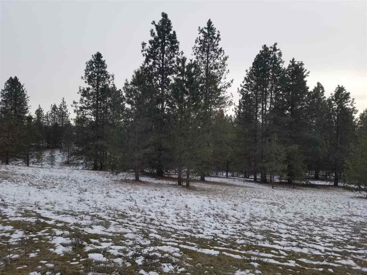 131-xx North Chronicle Road Mead, WA 99021 - Photo 12 of 19 Gallery Image 12