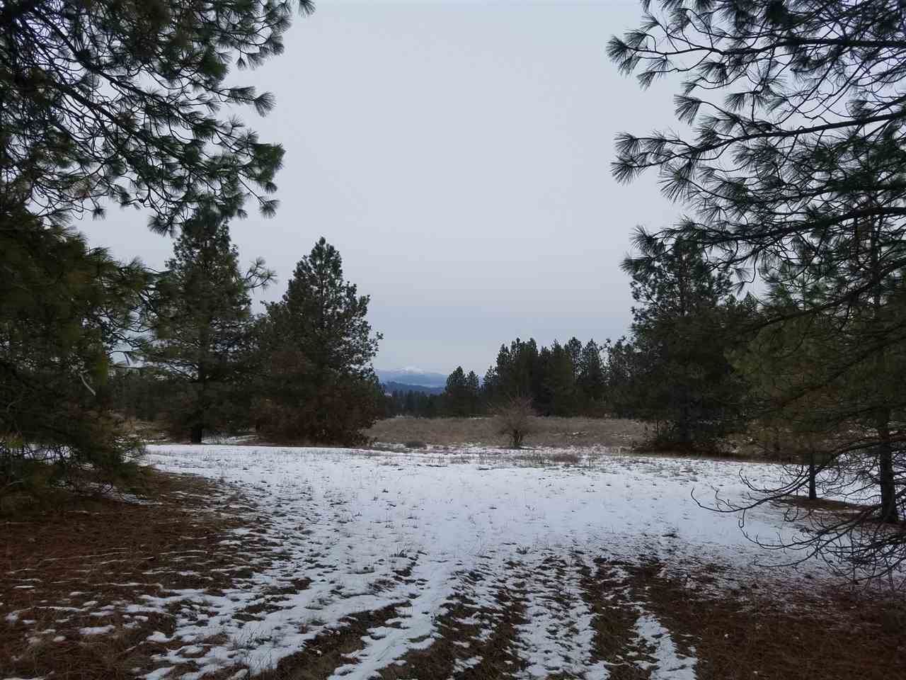 131-xx North Chronicle Road Mead, WA 99021 - Photo 14 of 19 Gallery Image 14