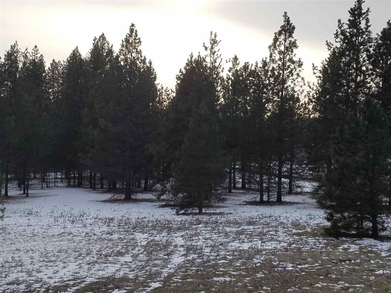 131-xx North Chronicle Road Mead, WA 99021 - Photo 15 of 19 Gallery Image 15