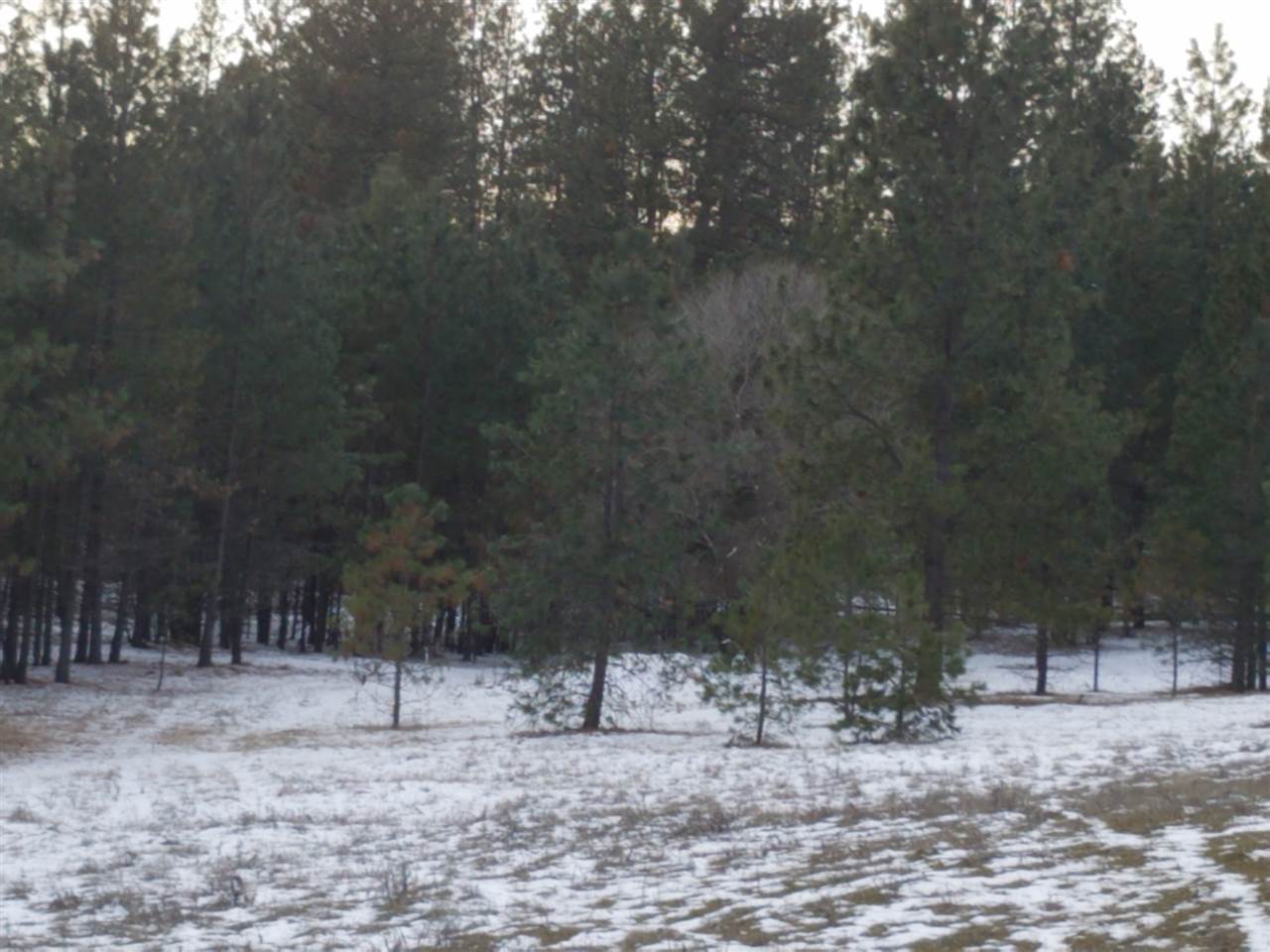 131-xx North Chronicle Road Mead, WA 99021 - Photo 5 of 19 Gallery Image 5