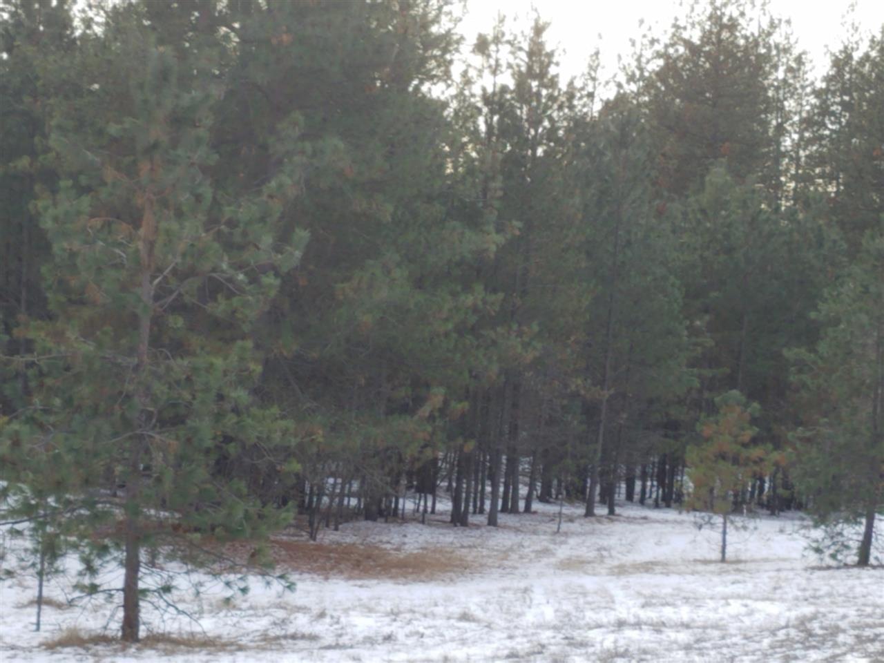 131-xx North Chronicle Road Mead, WA 99021 - Photo 7 of 19 Gallery Image 7