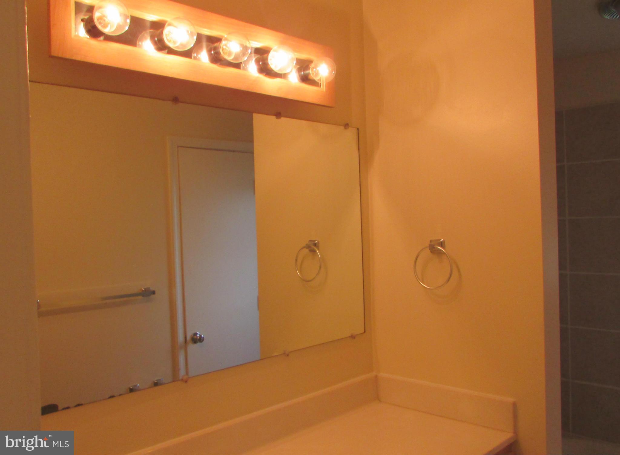 4804 Ridge Road Mount Airy, MD 21771 - Photo 16 of 25 Bath