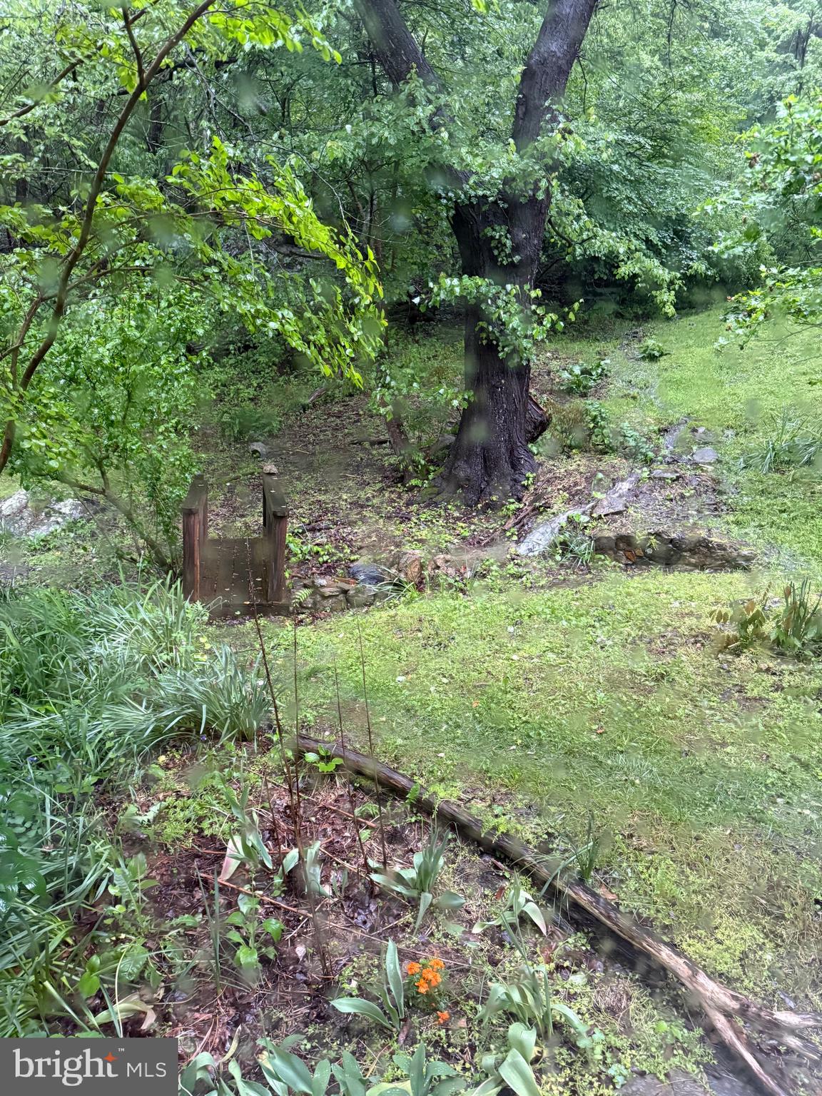 236 Piedmont Orchard Road Linden, VA 22642 - Photo 30 of 39 a big yard with lots of green space