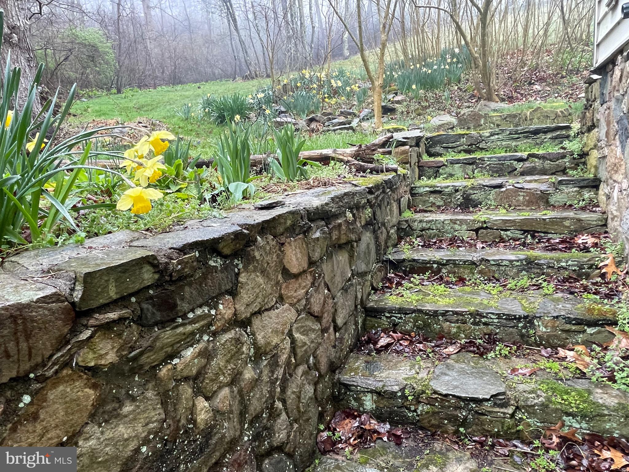 236 Piedmont Orchard Road Linden, VA 22642 - Photo 7 of 39 a view of outdoor space with garden