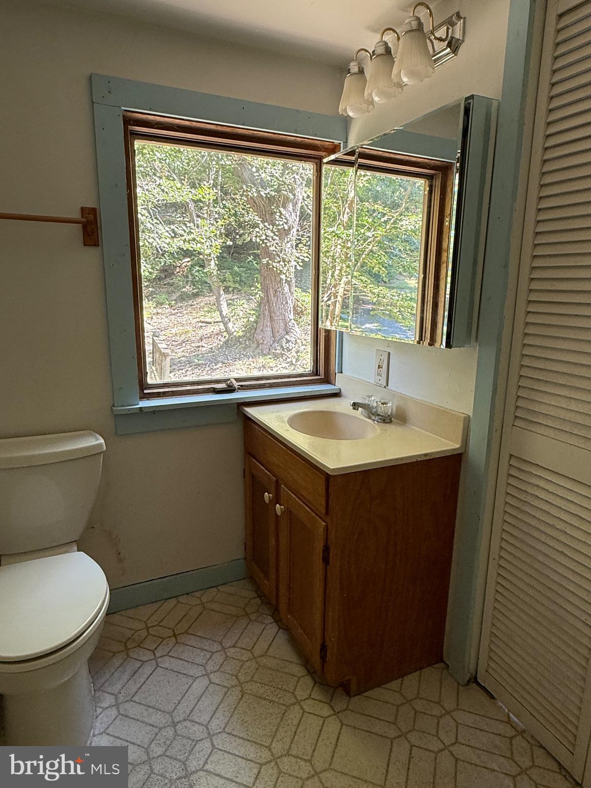 236 Piedmont Orchard Road Linden, VA 22642 - Photo 8 of 39 a bathroom with a sink vanity mirror and toilet