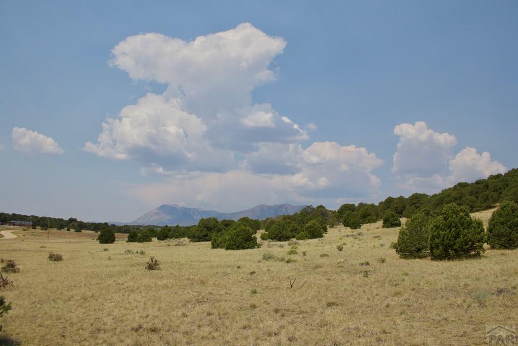 Unit #4 Unit Road Walsenburg, CO 81089 - Photo 10 of 36