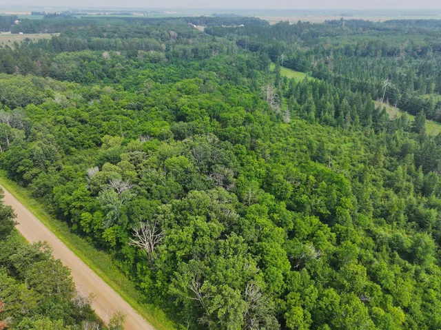 $260,000 | Tbd Arbor Road, Park Rapids, MN 56470