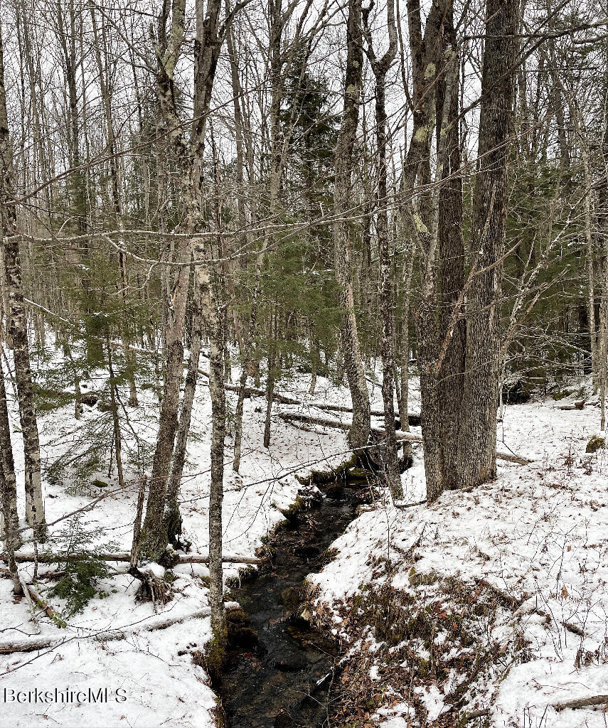Bush Road Cummington, MA 01026 - Photo 5 of 5 04
