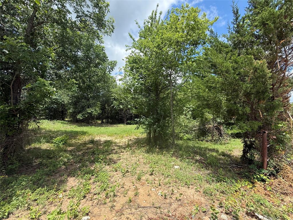 5 Slate Rock Road Ennis, TX 75119 - Photo 3 of 20