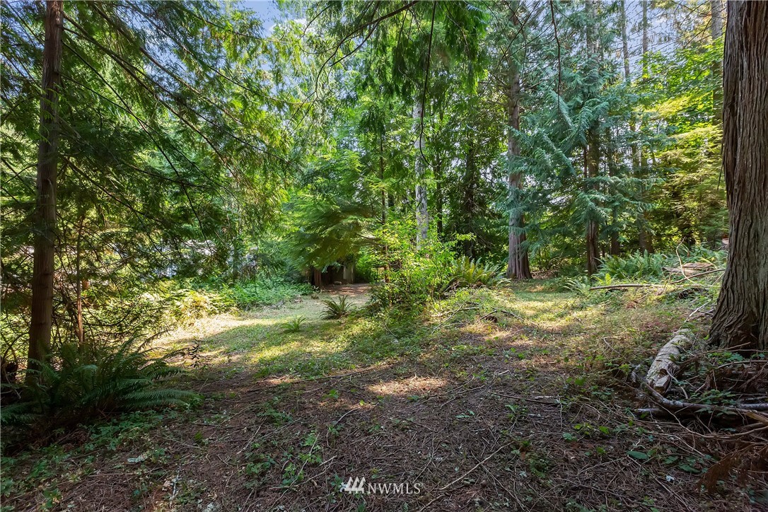 1-xx Whale Road Brinnon, WA 98320 - Photo 1 of 29 Gallery Image 1