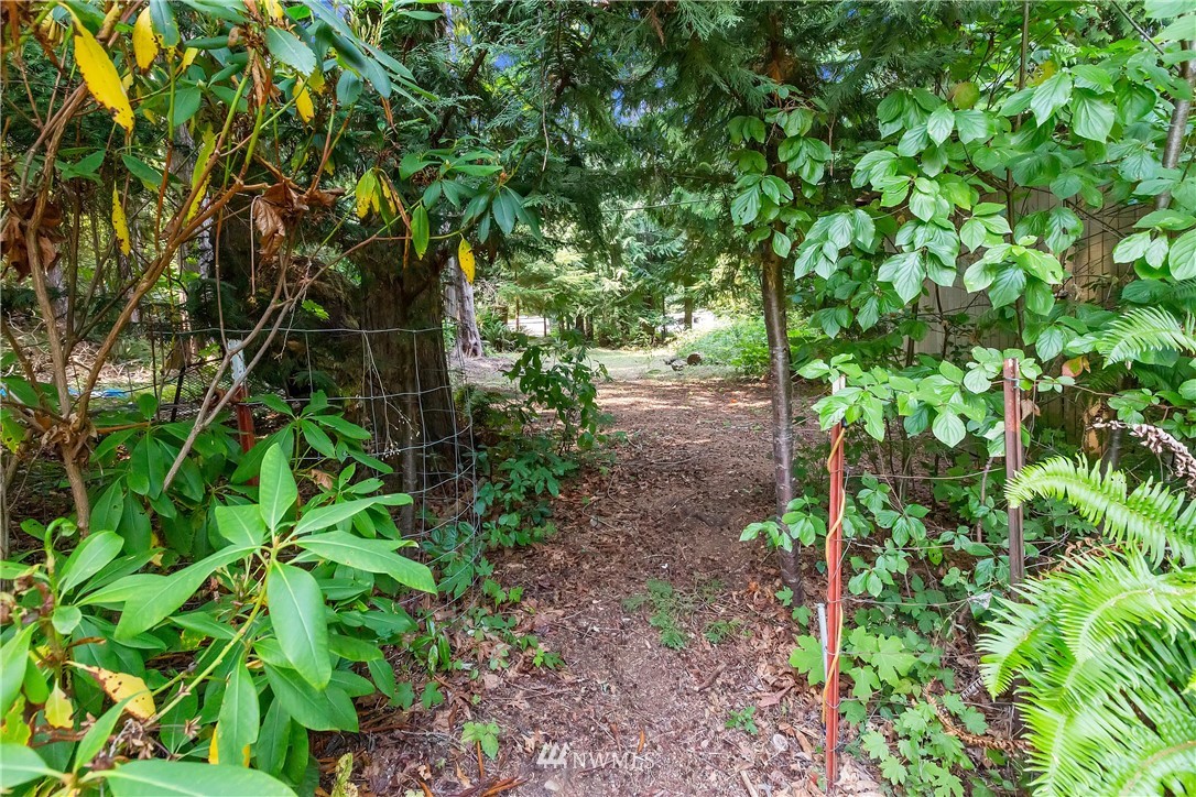 1-xx Whale Road Brinnon, WA 98320 - Photo 2 of 29 Gallery Image 2