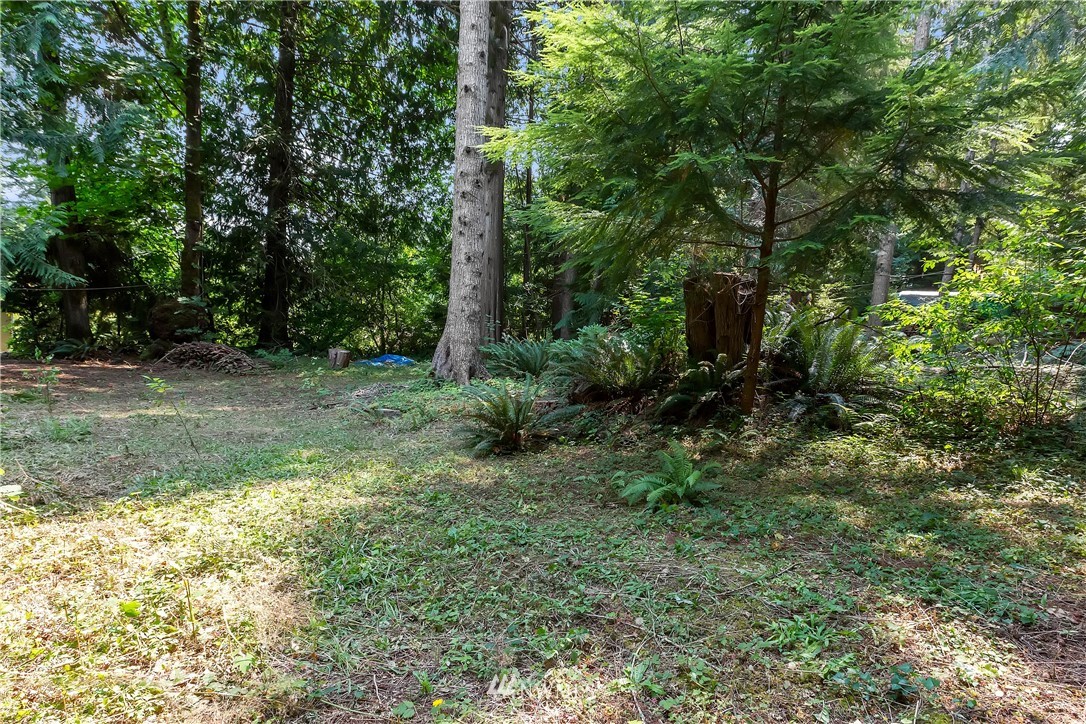 1-xx Whale Road Brinnon, WA 98320 - Photo 4 of 29 Gallery Image 4