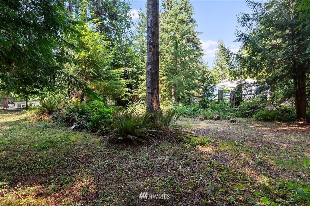 1-xx Whale Road Brinnon, WA 98320 - Photo 5 of 29 Gallery Image 5