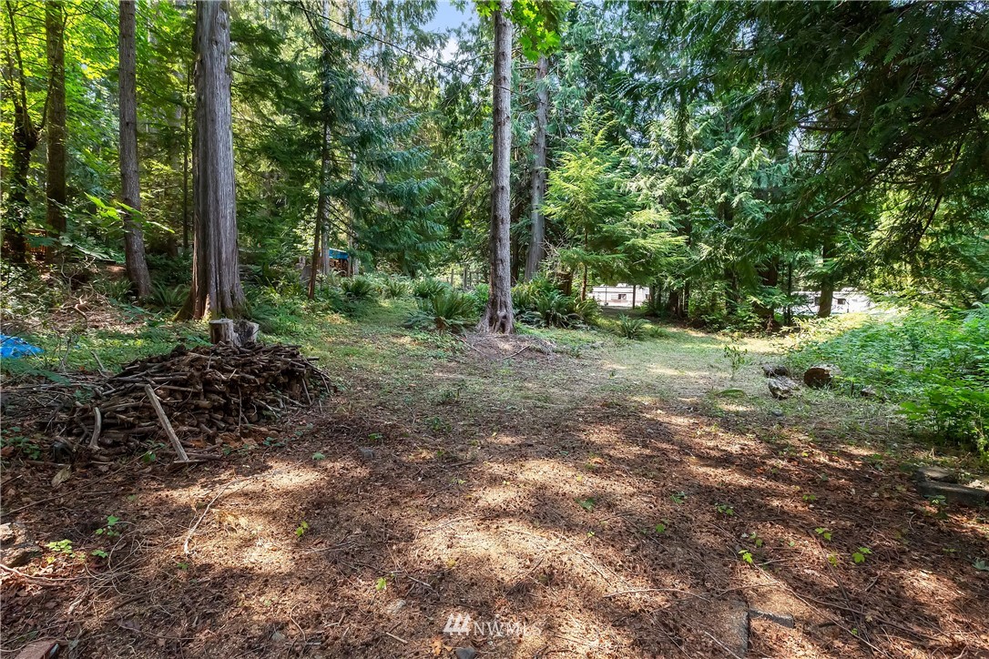 1-xx Whale Road Brinnon, WA 98320 - Photo 6 of 29 Gallery Image 6