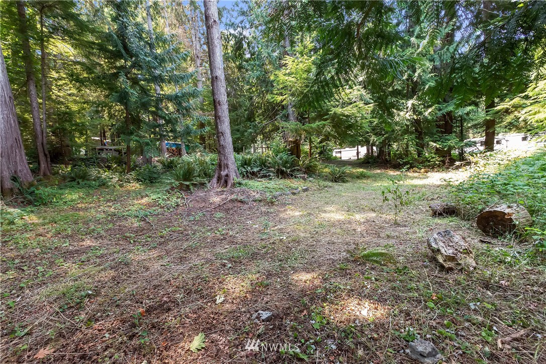 1-xx Whale Road Brinnon, WA 98320 - Photo 7 of 29 Gallery Image 7