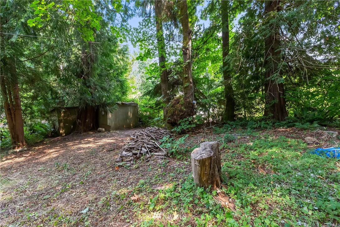 1-xx Whale Road Brinnon, WA 98320 - Photo 10 of 29 Gallery Image 10