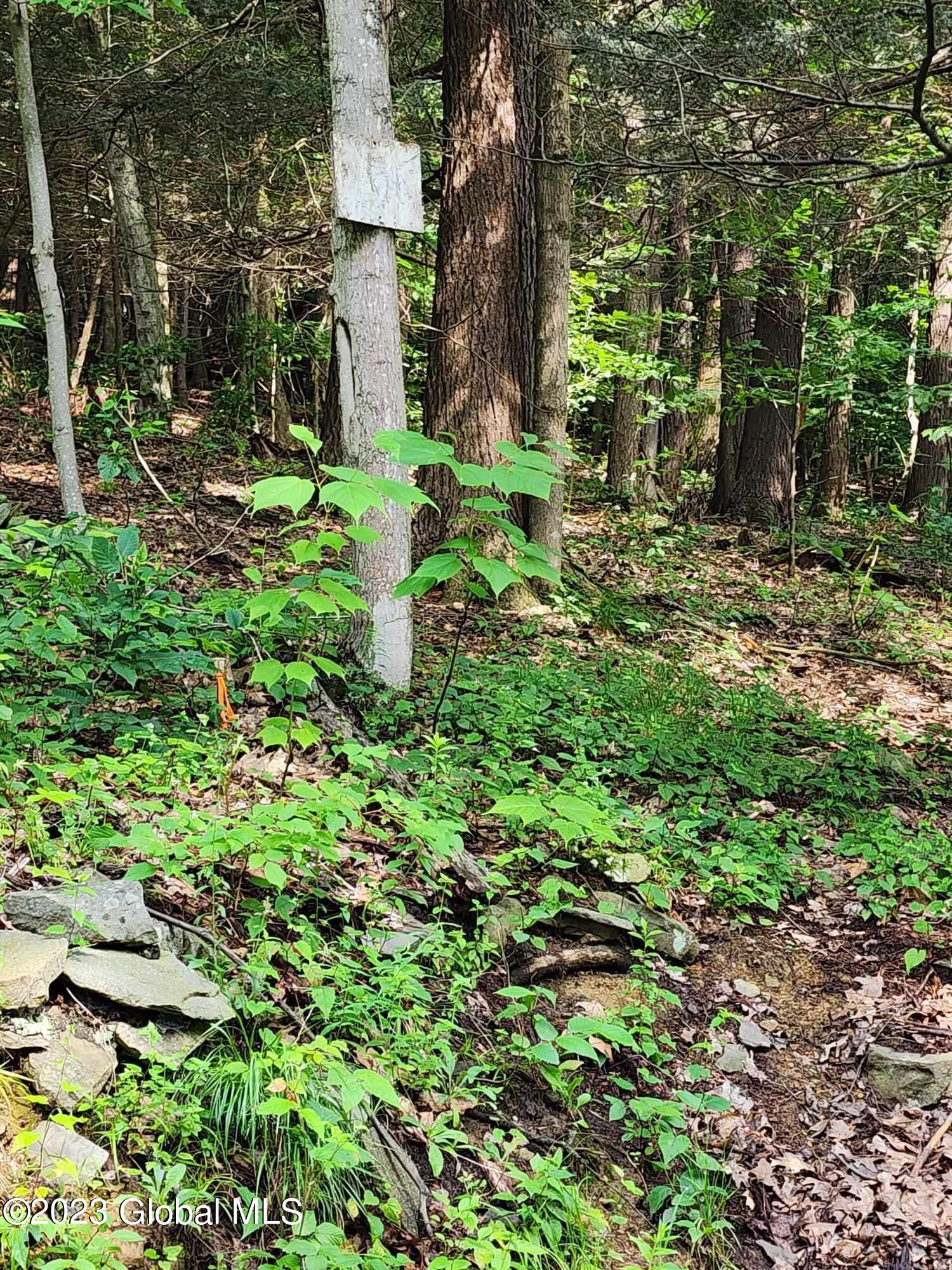 447 Woods Road Broome, NY 12122 - Photo 25 of 32 361127323_2532854410201738_9222375383207