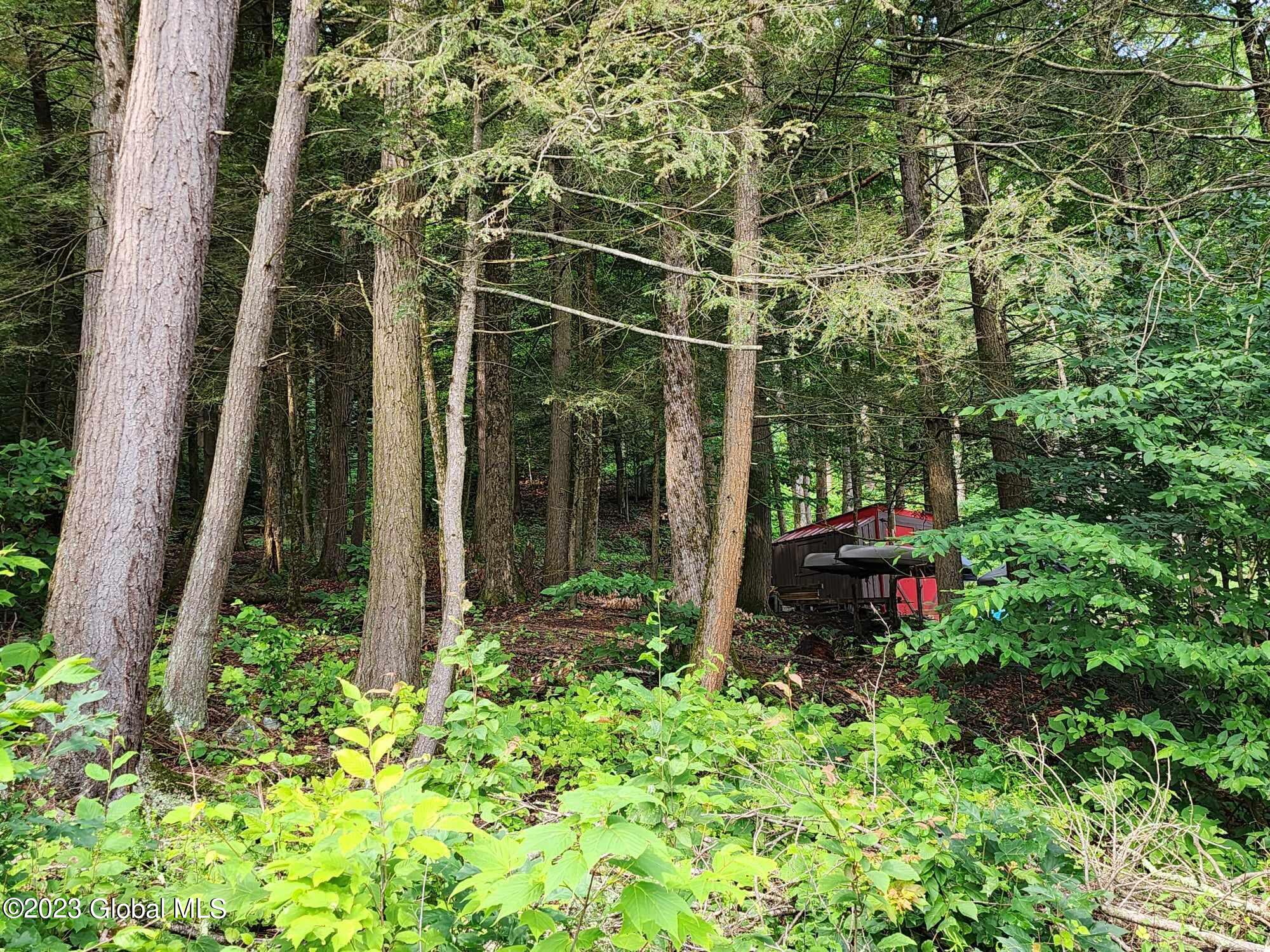 447 Woods Road Broome, NY 12122 - Photo 27 of 32 360185259_666223761557509_78572280906072