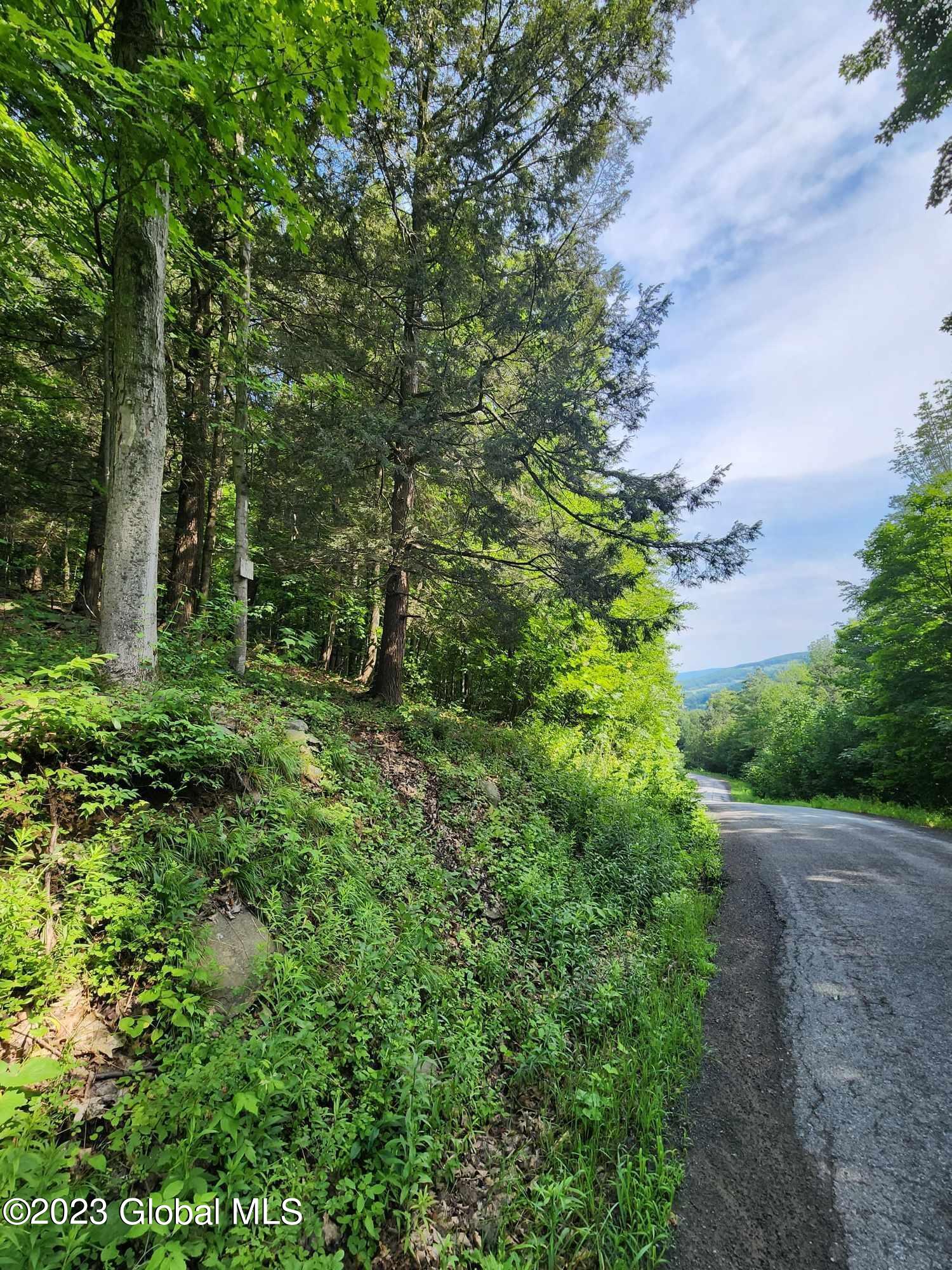 447 Woods Road Broome, NY 12122 - Photo 31 of 32 361077671_940990480460855_65917904929172