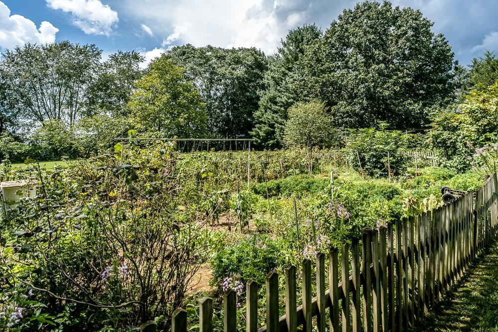 7812 Windy Cove Road Bridgewater, VA 22812 - Photo 36 of 41 a view of a garden