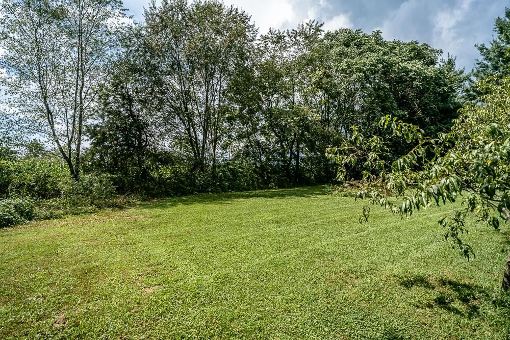 7812 Windy Cove Road Bridgewater, VA 22812 - Photo 39 of 41 a view of a field with a trees
