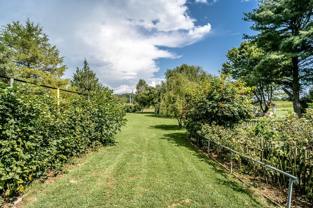 7812 Windy Cove Road Bridgewater, VA 22812 - Photo 41 of 41 a view of yard with green space