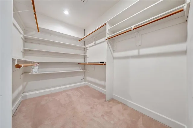 a view of a yard with plants