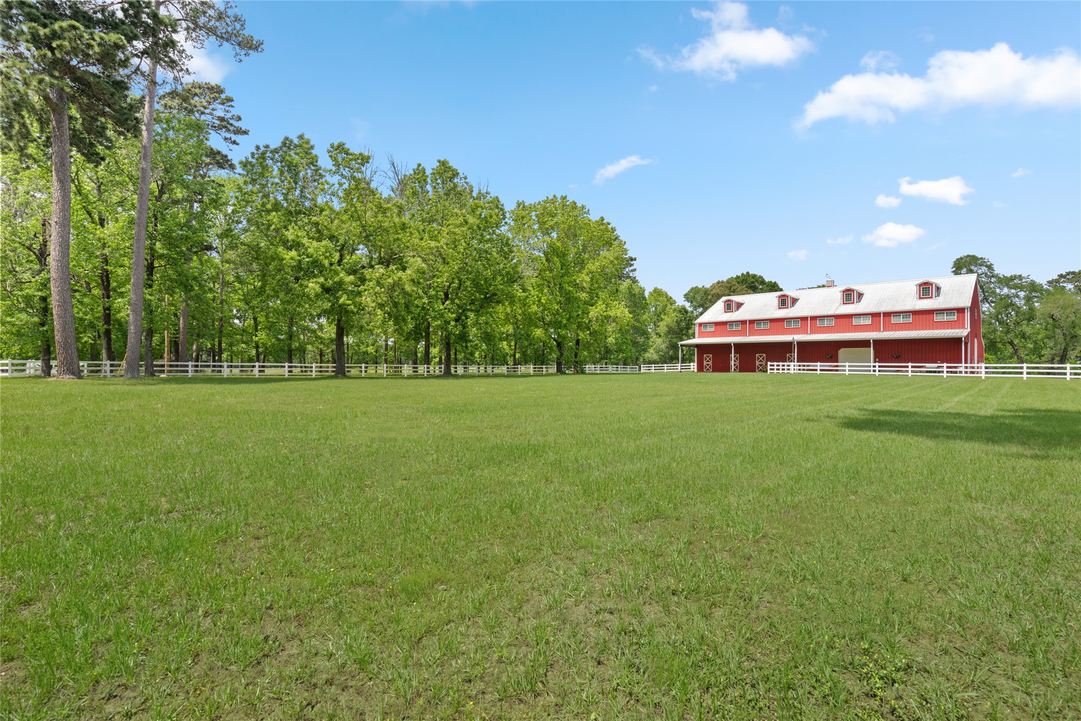 15126 Walden Road Montgomery, TX 77356 - Photo 18 of 50 Serene established countryside charm.