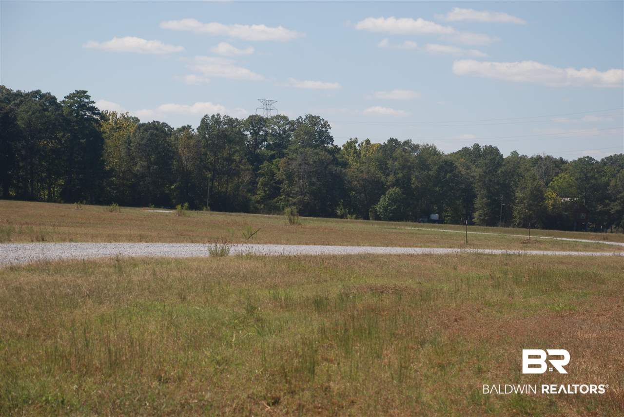 21 Jimmie Phillips Road Sawyerville, AL 36776 - Photo 18 of 41