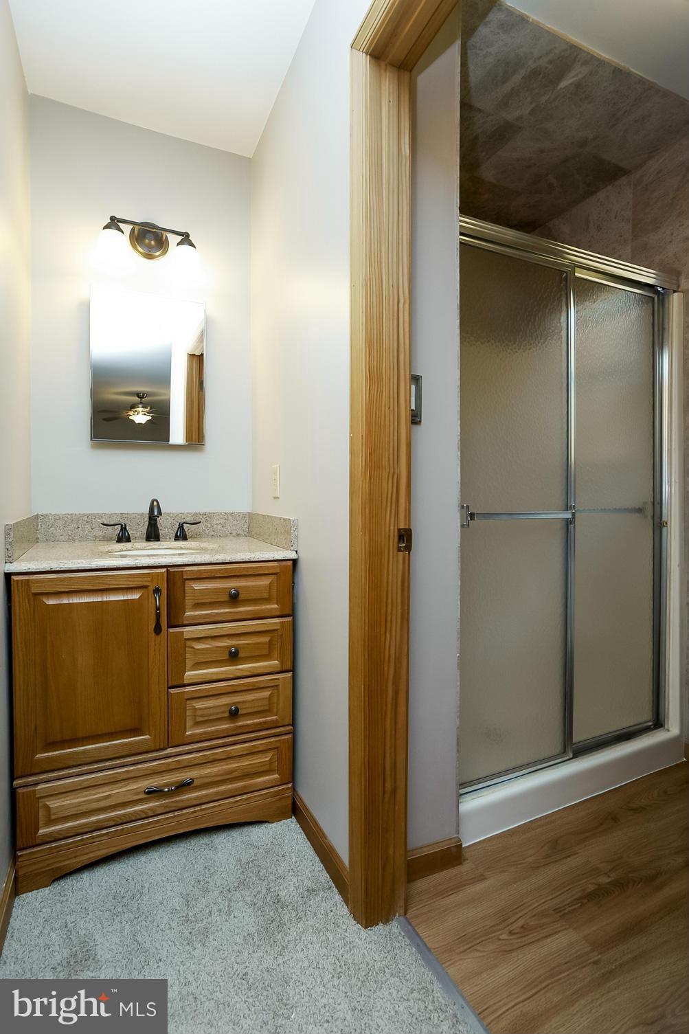 4371 Telegraph Road Elkton, MD 21921 - Photo 21 of 30 a bathroom with a mirror