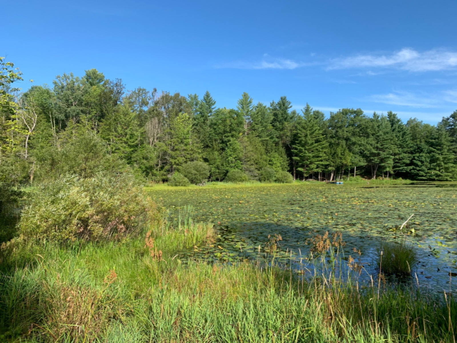 V/l Hawkins Road Luther, MI 49656 - Photo 5 of 16 IMG_7807