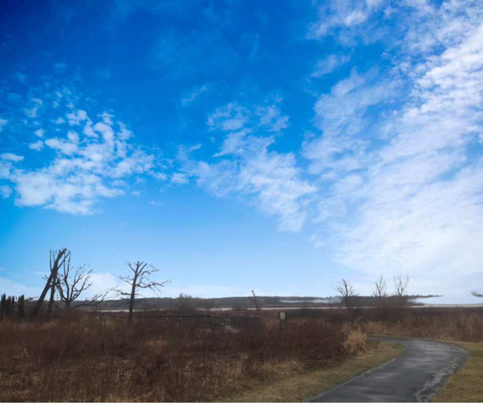 Lot 16 Harding Avenue Richmond, IL 60071 - Photo 2 of 3