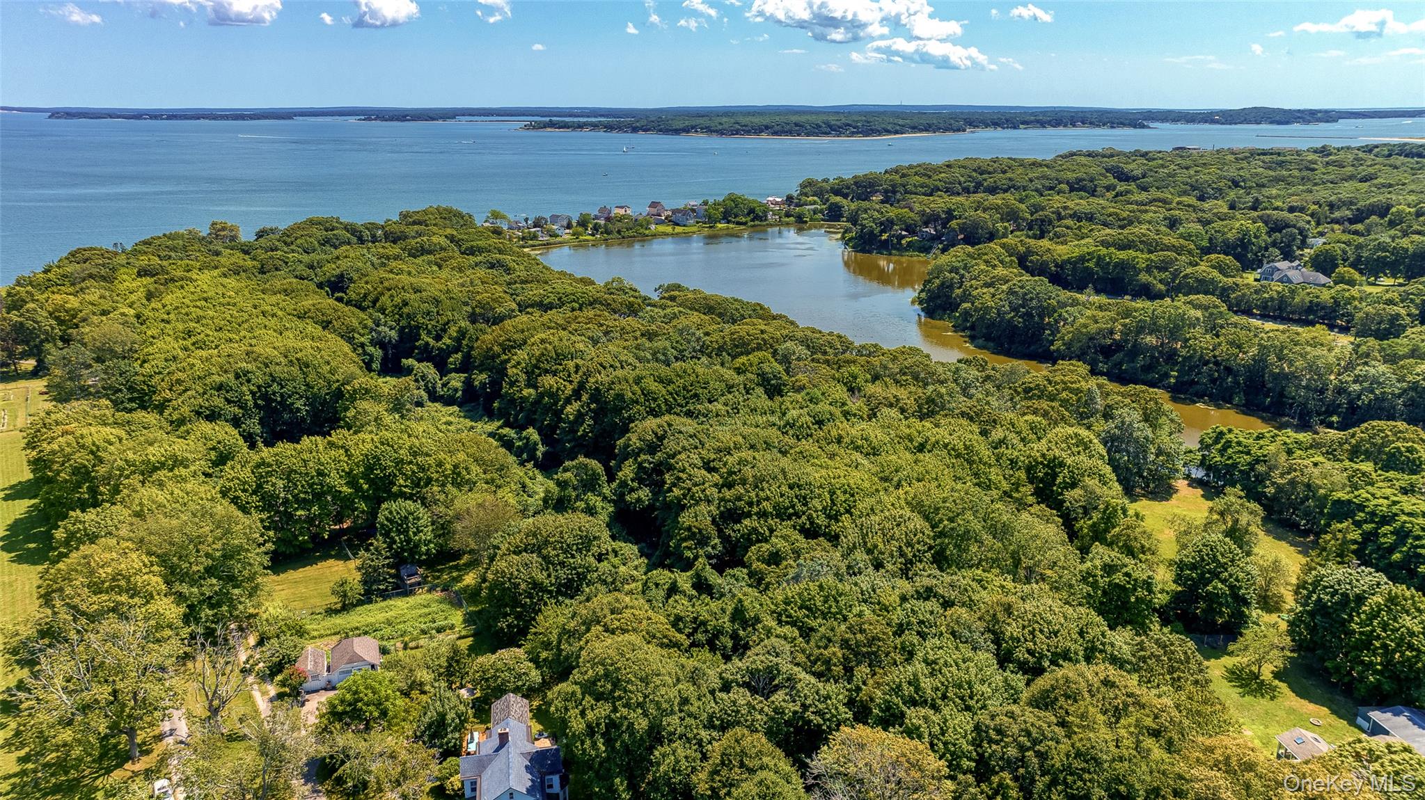 11100 Main Road East Marion, NY 11939 - Photo 5 of 7 Aerial view of a heavily wooded area and a large body of water
