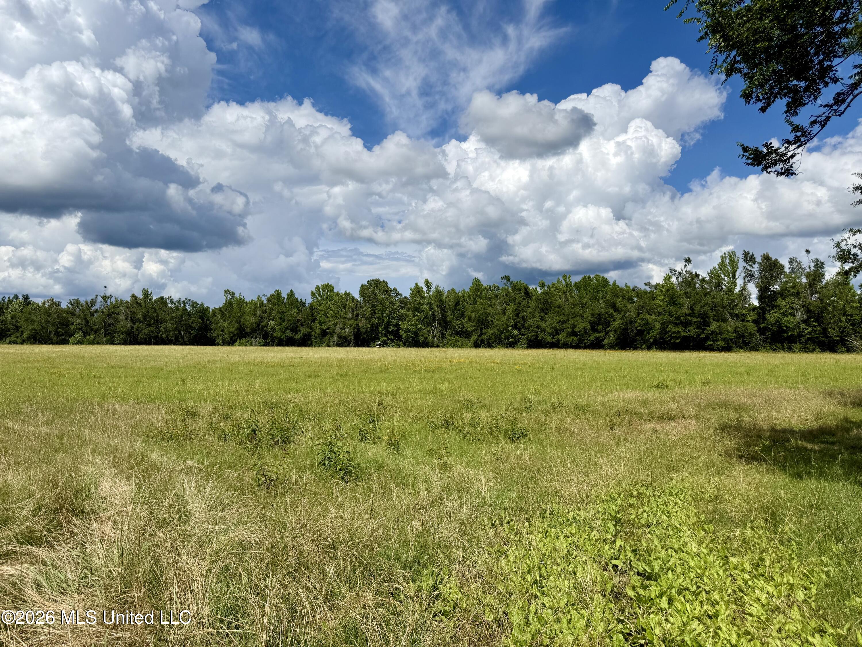 2900 Rockport Rd A Lexington, MS 39095 - Photo 19 of 59 Photo May 29 2026, 3 14 41 PM