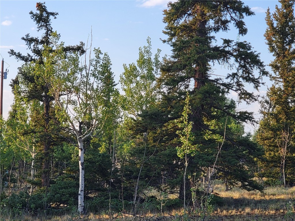 22 Teton Trail Como, CO 80432 - Photo 16 of 38 a backyard of a house with lots of trees