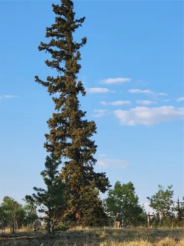 a view of a lake from a yard